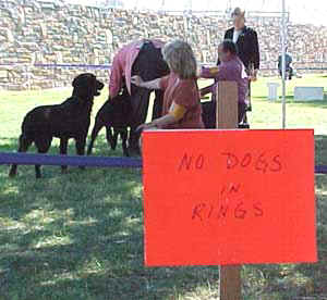 no_dogs.JPG (23938 bytes)